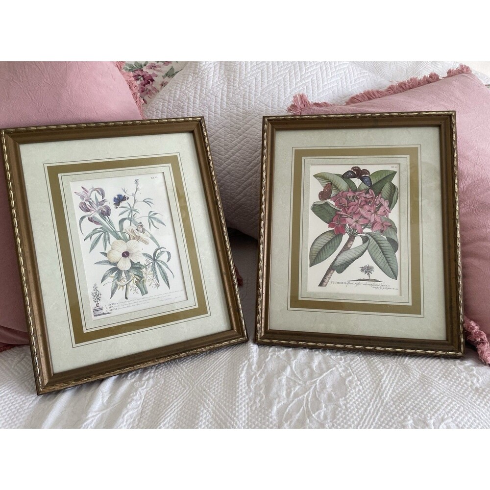 Vtg GD Ehret Botanical Floral Butterfly Prints 13”x11” Gold Tone Wooden Frames